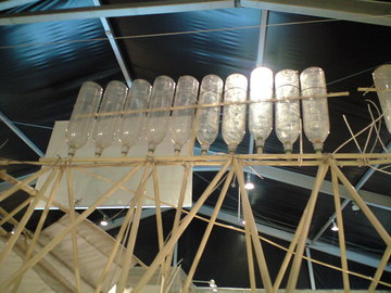 CA390091.JPG
