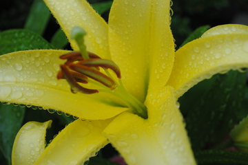 DSC_0199.JPG